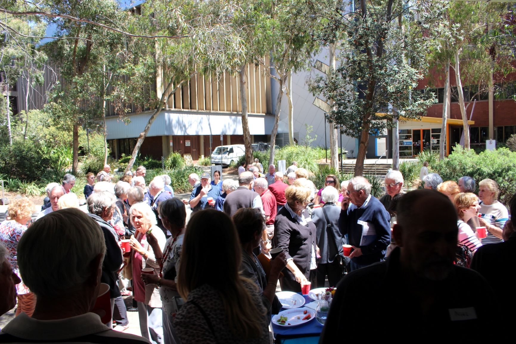 A group of older adults mingle outside under native trees