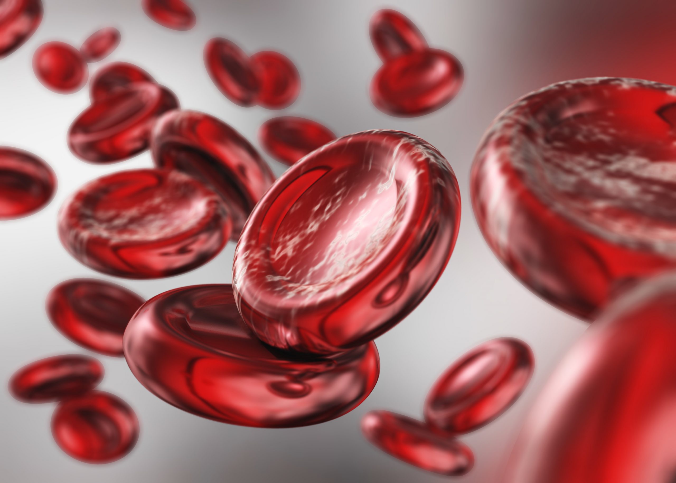 red blood cells. beautiful scientific background.