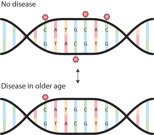 DNA Methylation_Fin_BGweb