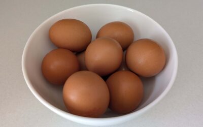 Regularly eating eggs supports a lower risk of cardiovascular disease